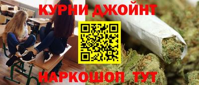 сатива Бузулук