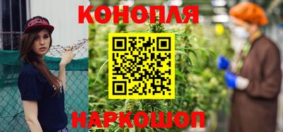 сатива Бузулук