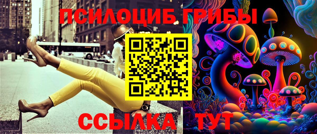 Псилоцибиновые грибы мицелий Туапсе