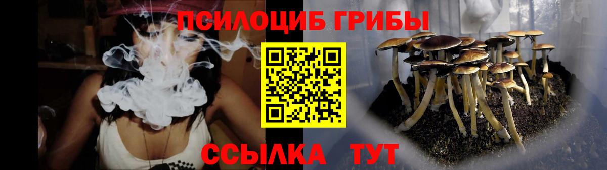 Псилоцибиновые грибы Psilocybine cubensis  Вход с VPN  Туапсе 